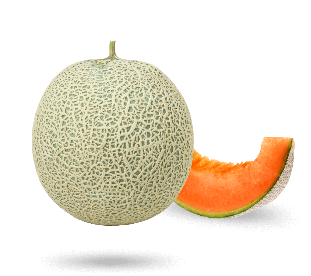 Melone-Sweet-Flame