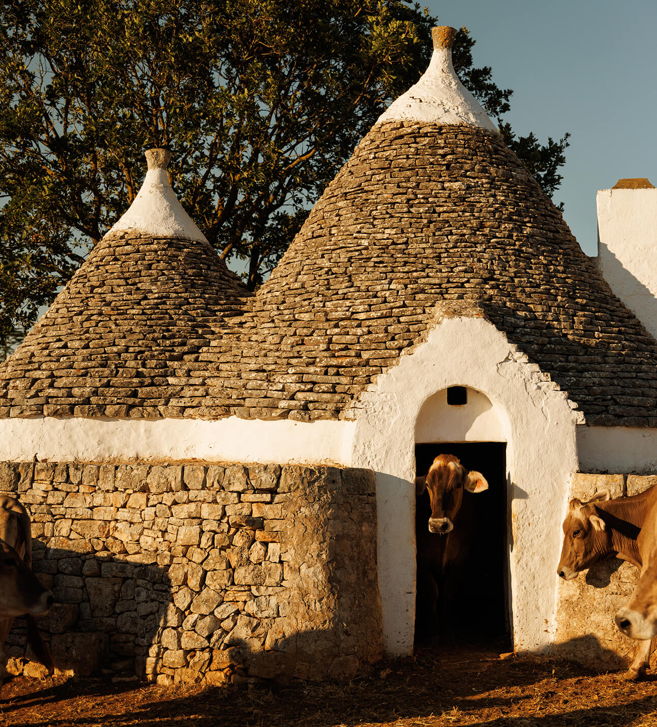 Un’atmosfera che si sente al primo assaggio.